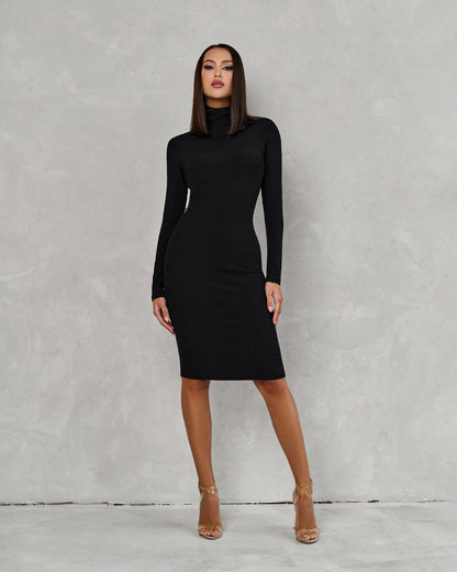 Polo Neck Dress Black Rib